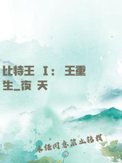比特王國Ⅰ: 國王重生